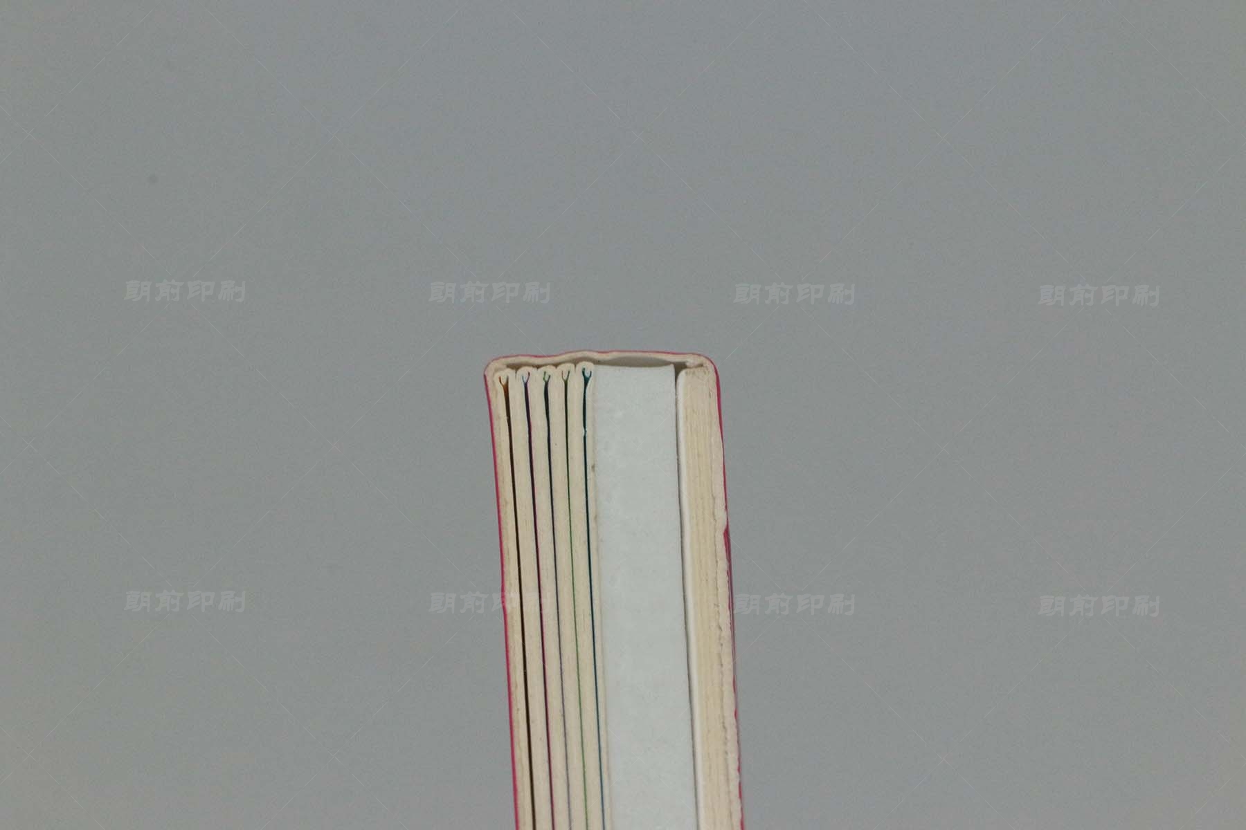 廣州彩印畫(huà)冊(cè)印刷價(jià)格 廣州企業(yè)畫(huà)冊(cè)印刷要求