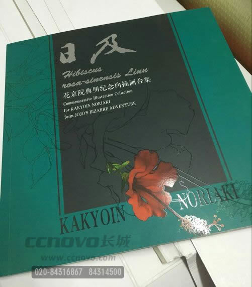 畫冊設計局部uv效果圖